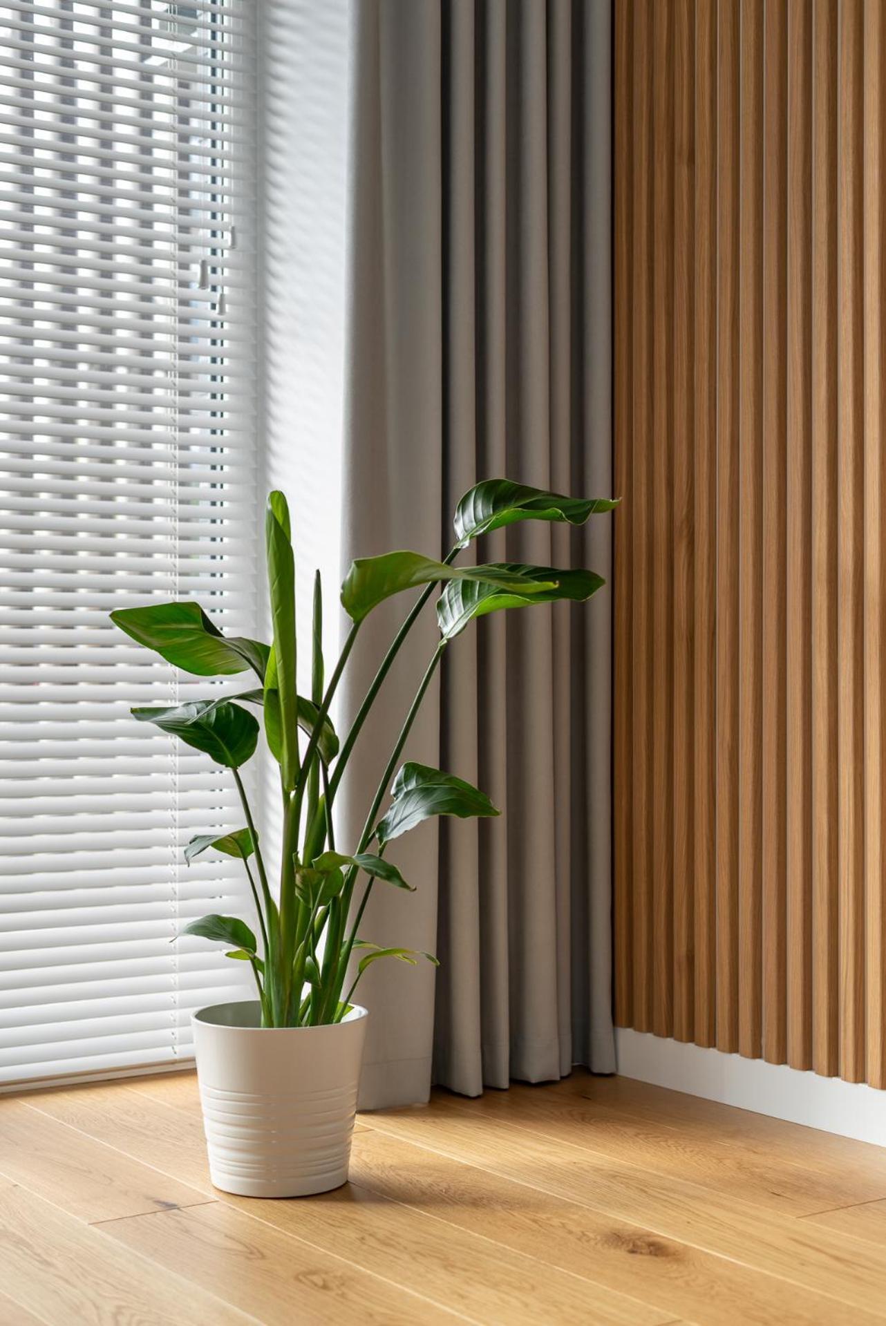 D33 Vilnius - Brand New Luxury Apartment With Terrace, Garden, Ac And Parking Exteriér fotografie